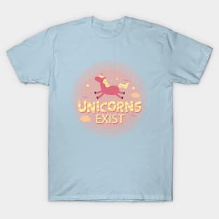 Unicorns exist, unicorny shirt T-Shirt